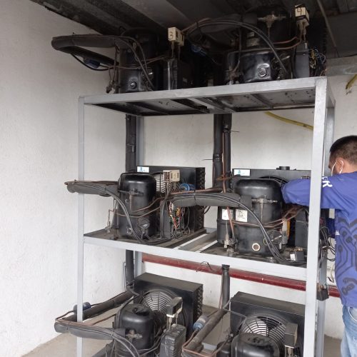 WhatsApp Image 2022-07-19 at 1.10.22 PM (1)